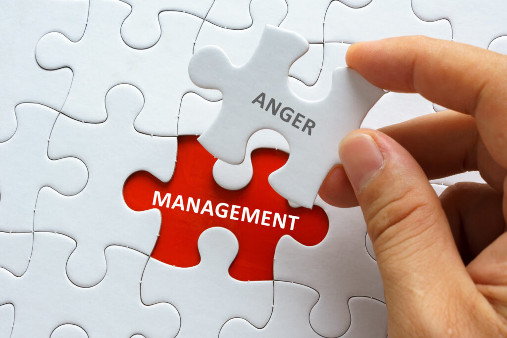 The Temper Tamer's Toolkit: Mastering Anger Management and Emotional Balance with Ease